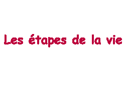 �tapes de la vie